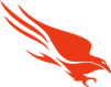 CrowdStrike Falcon 심볼